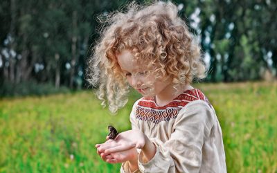 Părinții, copiii și insectele – idei de activități și jocuri