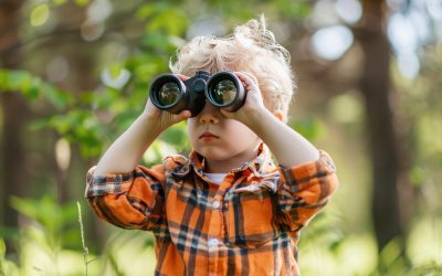 Observarea păsărilor: o activitate simplă cu beneficii surprinzătoare